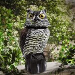 Uil vogelverschrikker zerostock opkoper