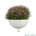 ClickUp! plantenbak zerostock opkoper
