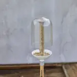 ClickUp! vogelvoeder zerostock opkoper