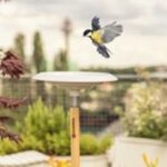 ClickUp! vogelbad zerostock opkoper